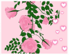 Pink roses hanging 💋