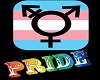pride poster