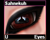 Sahnekuh Eyes