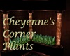 Cheyenne's Corner Plants