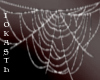 IO-Spiderweb- l -
