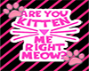 Are You Kitten Me? W/P