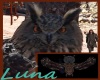 Luna, Eurasian Eagle Owl