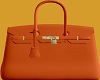 Orange Birkin Bag