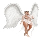 S! Angel Fit