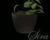 :S: Skeleton Planter