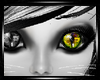yellow 2 tone neko eyes