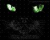 (BA) Black Cat