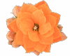 6v3| Orange Flower