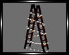 * Ladder with Lights