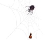 Giant Spider web