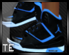 [TE] Blue Flight Jordans