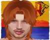 🦁 GINGER 80 NEW