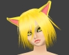 Yellow Cat Ears