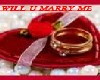 [MDF] WILL U MARRY ME