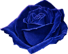 !Rae Glow blue rose