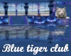 Blue tiger club