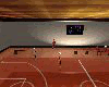 BasketbalCourReflect