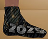 2025 Socks Silver (M)
