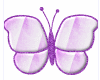 Large Purple Butterfly