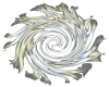 swirl transparent