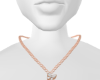 Collar 2 VanCf But White