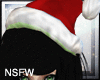 lNl Animated Santa Hat