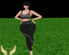 workout Fit