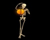 C*  Lantern Holder