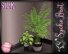 SILK Plant 1