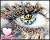 Crystalllized Eye