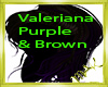 Valeriana Purple & Brown