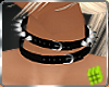 {PDQ} DoubleSpike Collar