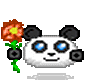 Panda Kao Ani 2