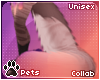 [Pets] Ailva | tail v2