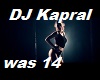 DJ Kapral Wait a Second