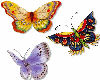 sticker butterfly day