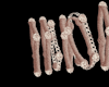Champagne Bangle Set