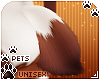[Pets] Ginga | tail v8