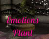 Emotions Plant