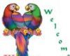 Parrot Welcome