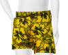 Island Swim Shorts Y