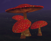 Group of 4 Mushrooms