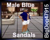 [BD] Male Blue Sandals