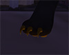 Anyskin Brown Claws/Pads