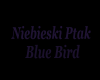Niebieski Ptak
