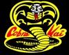 cobra kai