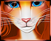 Clara Whiskers