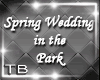 [TB]SpringWeddingin Park