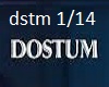Dostum Dostum
